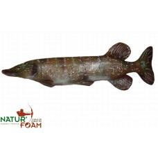 Natur Foam PIKE